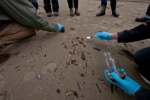 Microplastics on a beach