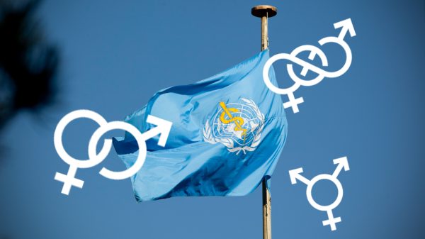 WHO flag and gender logos