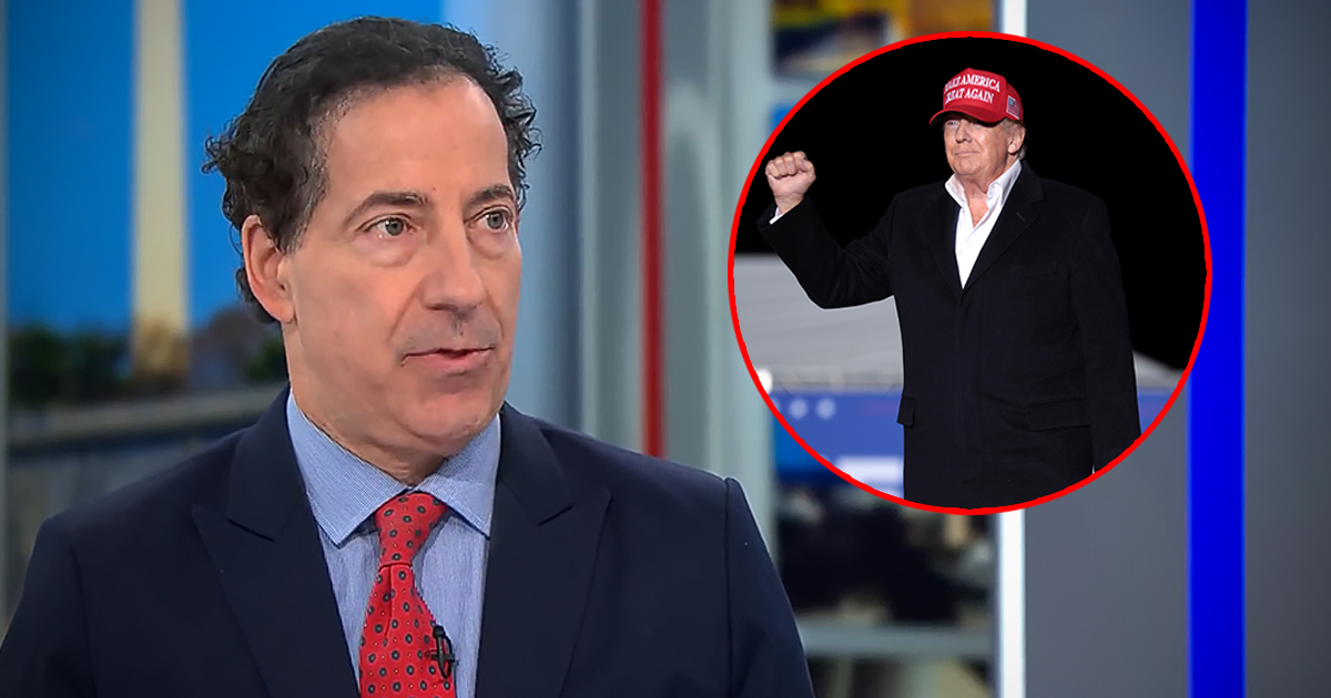 Jamie Raskin and Donald Trump composite