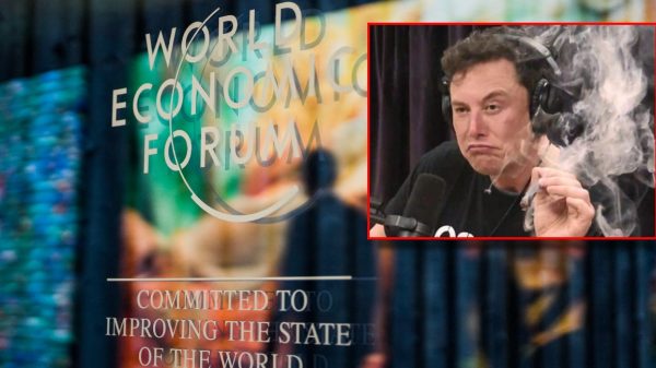 Collage with Musk and the World Economic Forum