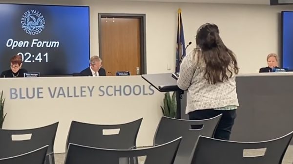Woman testifying before school board