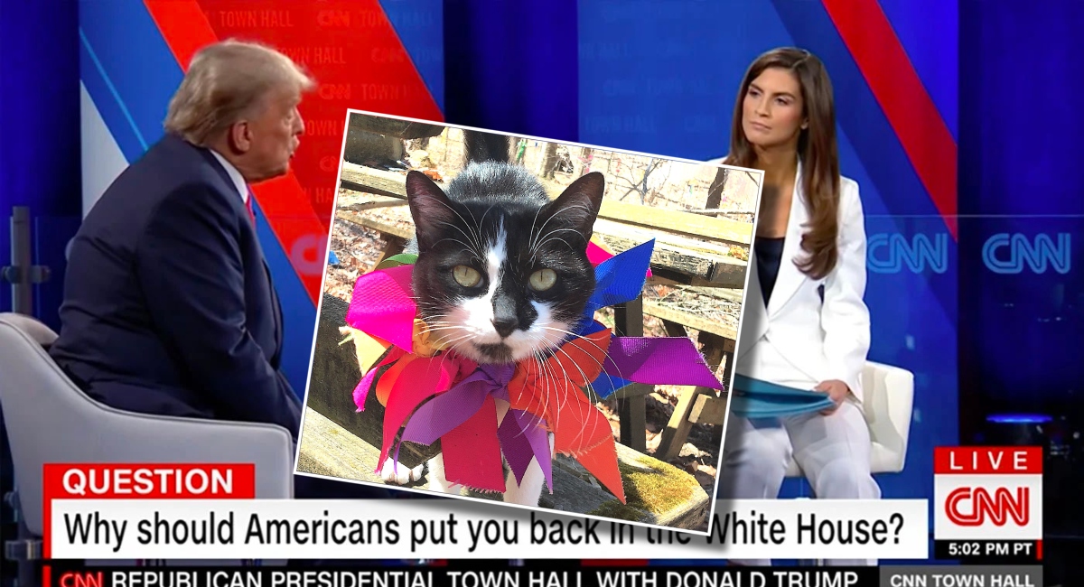 Trump and Collins with a photo of the cat named Vagina