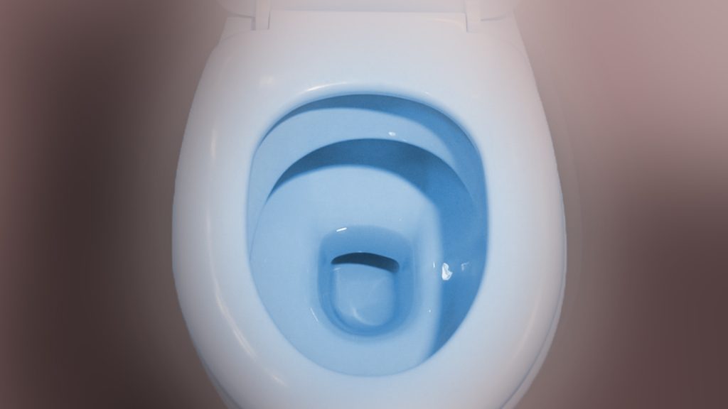 A toilet bowl
