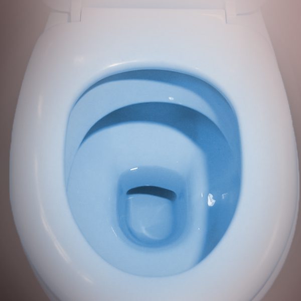 A toilet bowl